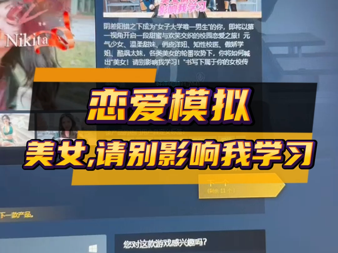 文字恋爱游戏是什么意思