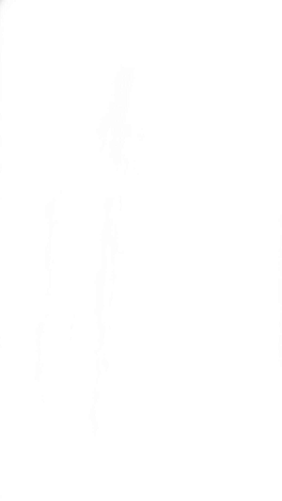 游戏打开白屏怎么办 游戏打开白屏怎么办