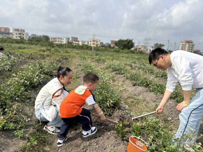野餐必备攻略亲子游戏的简单介绍 野餐必备攻略亲子游戏的简单介绍