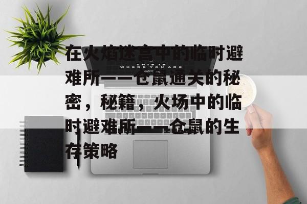 在火焰迷宫中的临时避难所——仓鼠通关的秘密,秘籍,火场中的临时避难所——仓鼠的生存策略 在火焰迷宫中的临时避难所——仓鼠通关的秘密,秘籍,火场中的临时避难所——仓鼠的生存策略