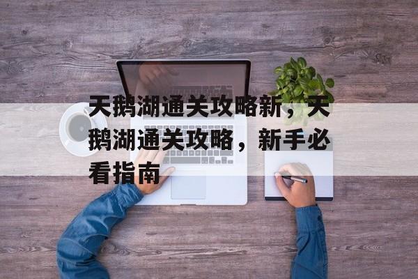 天鹅湖通关攻略新,天鹅湖通关攻略,新手必看指南 天鹅湖通关攻略新,天鹅湖通关攻略,新手必看指南