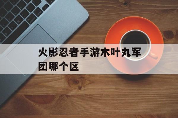 火影忍者手游木叶丸军团哪个区