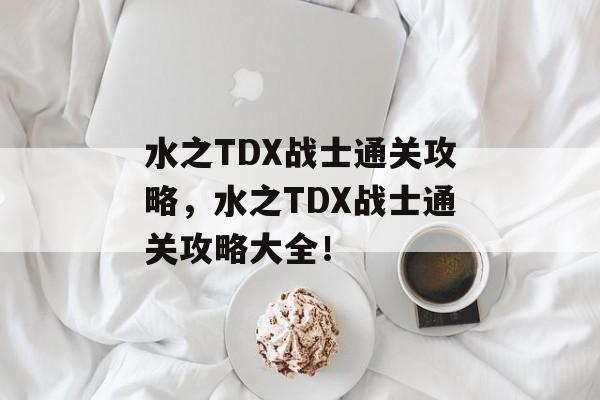 水之TDX战士通关攻略，水之TDX战士通关攻略大全！