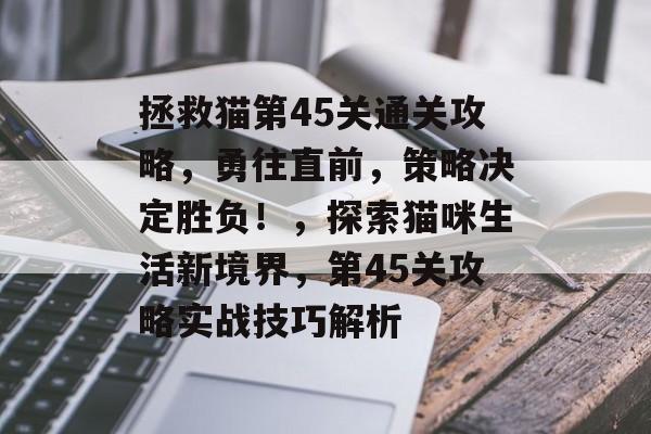 拯救猫第45关通关攻略,勇往直前,策略决定胜负!,探索猫咪生活新境界,第45关攻略实战技巧解析 拯救猫第45关通关攻略,勇往直前,策略决定胜负!,探索猫咪生活新境界,第45关攻略实战技巧解析