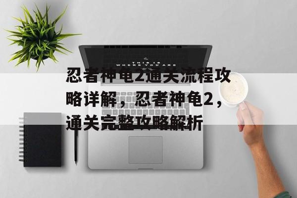 忍者神龟2通关流程攻略详解,忍者神龟2,通关完整攻略解析 忍者神龟2通关流程攻略详解,忍者神龟2,通关完整攻略解析