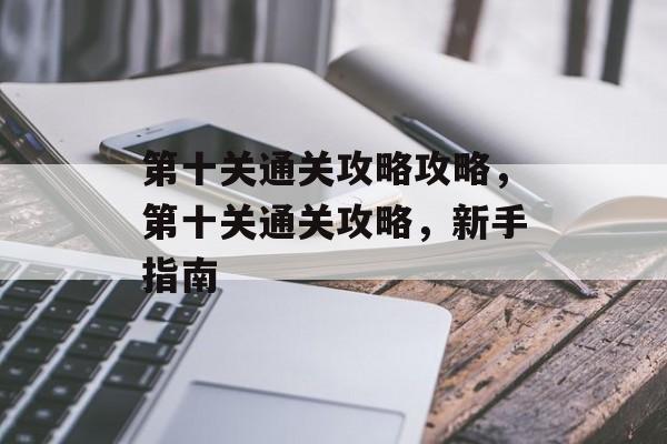 第十关通关攻略攻略，第十关通关攻略，新手指南