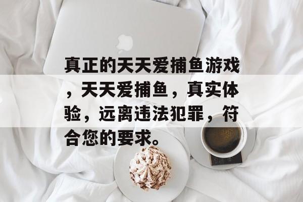 真正的天天爱捕鱼游戏,天天爱捕鱼,真实体验,远离违法犯罪,符合您的要求。 真正的天天爱捕鱼游戏,天天爱捕鱼,真实体验,远离违法犯罪,符合您的要求。