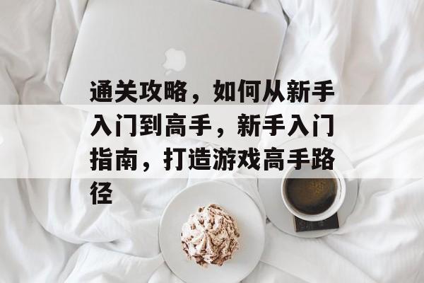 通关攻略,如何从新手入门到高手,新手入门指南,打造游戏高手路径 通关攻略,如何从新手入门到高手,新手入门指南,打造游戏高手路径
