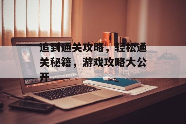 追到通关攻略，轻松通关秘籍，游戏攻略大公开
