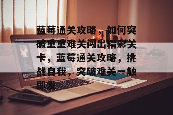蓝莓通关攻略，如何突破重重难关闯出精彩关卡，蓝莓通关攻略，挑战自我，突破难关一触即发