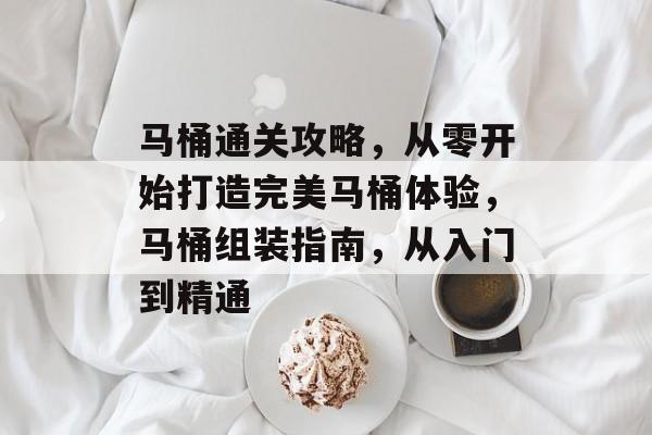 马桶通关攻略,从零开始打造完美马桶体验,马桶组装指南,从入门到精通 马桶通关攻略,从零开始打造完美马桶体验,马桶组装指南,从入门到精通