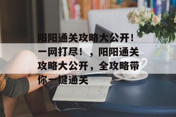 阳阳通关攻略大公开！一网打尽！，阳阳通关攻略大公开，全攻略带你一键通关