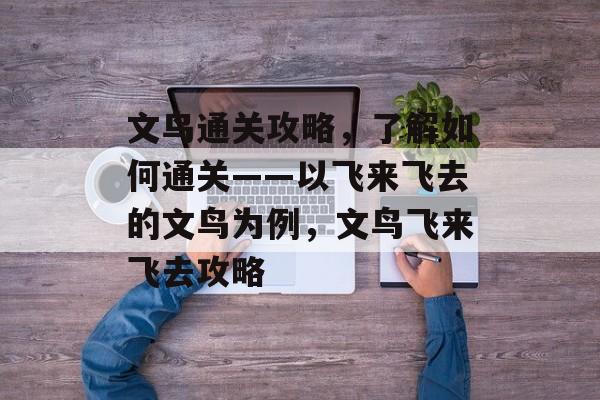 文鸟通关攻略,了解如何通关——以飞来飞去的文鸟为例,文鸟飞来飞去攻略 文鸟通关攻略,了解如何通关——以飞来飞去的文鸟为例,文鸟飞来飞去攻略