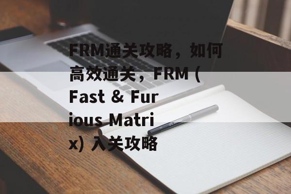 FRM通关攻略,如何高效通关,FRM (Fast & Furious Matrix) 入关攻略 FRM通关攻略,如何高效通关,FRM (Fast & Furious Matrix) 入关攻略