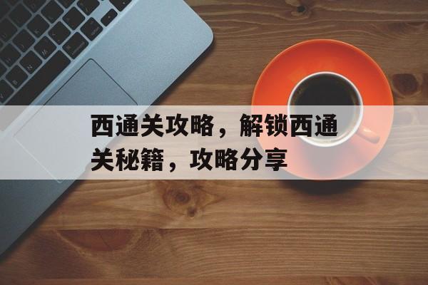 西通关攻略，解锁西通关秘籍，攻略分享