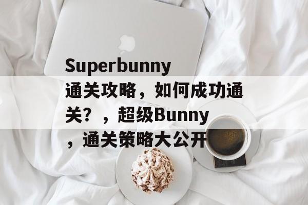 Superbunny通关攻略，如何成功通关？，超级Bunny，通关策略大公开