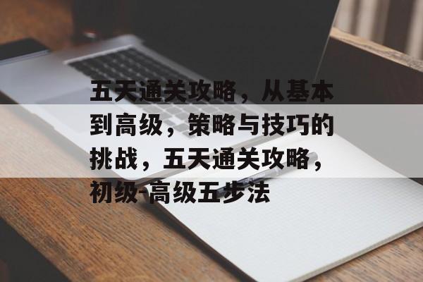 五天通关攻略,从基本到高级,策略与技巧的挑战,五天通关攻略,初级-高级五步法 五天通关攻略,从基本到高级,策略与技巧的挑战,五天通关攻略,初级-高级五步法