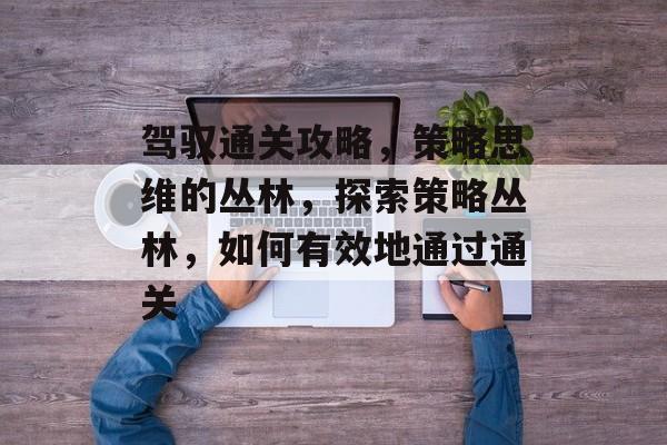 驾驭通关攻略，策略思维的丛林，探索策略丛林，如何有效地通过通关