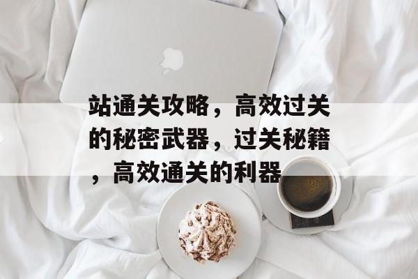 站通关攻略,高效过关的秘密武器,过关秘籍,高效通关的利器 站通关攻略,高效过关的秘密武器,过关秘籍,高效通关的利器