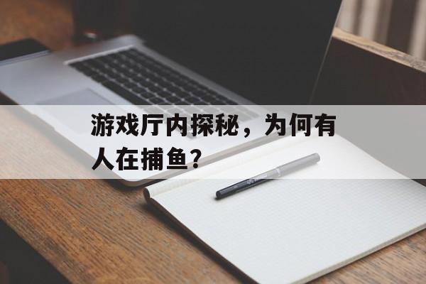 游戏厅内探秘,为何有人在捕鱼? 游戏厅内探秘,为何有人在捕鱼?