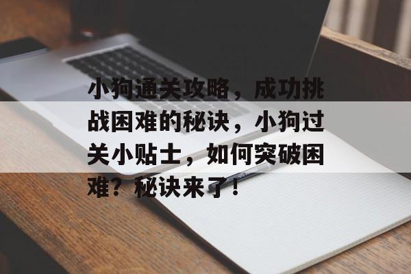 小狗通关攻略,成功挑战困难的秘诀,小狗过关小贴士,如何突破困难?秘诀来了! 小狗通关攻略,成功挑战困难的秘诀,小狗过关小贴士,如何突破困难?秘诀来了!