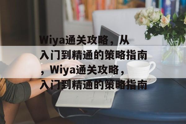 Wiya通关攻略，从入门到精通的策略指南，Wiya通关攻略，入门到精通的策略指南