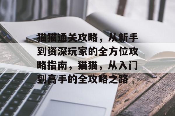 猫猫通关攻略,从新手到资深玩家的全方位攻略指南,猫猫,从入门到高手的全攻略之路 猫猫通关攻略,从新手到资深玩家的全方位攻略指南,猫猫,从入门到高手的全攻略之路