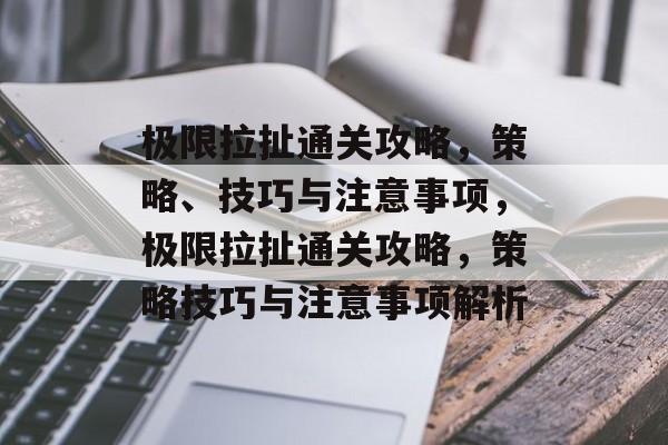 极限拉扯通关攻略,策略、技巧与注意事项,极限拉扯通关攻略,策略技巧与注意事项解析 极限拉扯通关攻略,策略、技巧与注意事项,极限拉扯通关攻略,策略技巧与注意事项解析