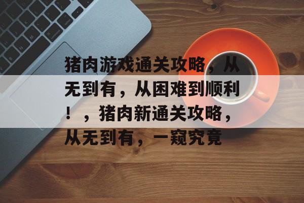 猪肉游戏通关攻略，从无到有，从困难到顺利！，猪肉新通关攻略，从无到有，一窥究竟