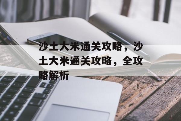 沙土大米通关攻略,沙土大米通关攻略,全攻略解析 沙土大米通关攻略,沙土大米通关攻略,全攻略解析