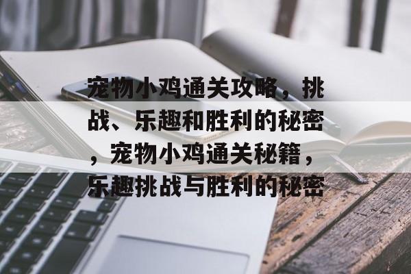 宠物小鸡通关攻略，挑战、乐趣和胜利的秘密，宠物小鸡通关秘籍，乐趣挑战与胜利的秘密