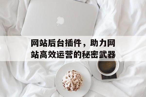 网站后台插件,助力网站高效运营的秘密武器 网站后台插件,助力网站高效运营的秘密武器