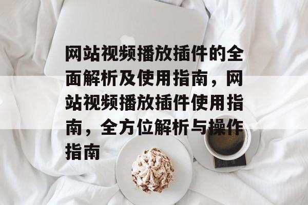 网站视频播放插件的全面解析及使用指南，网站视频播放插件使用指南，全方位解析与操作指南