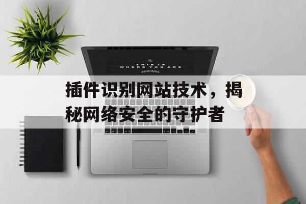 插件识别网站技术，揭秘网络安全的守护者