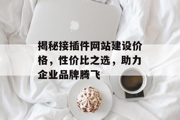 揭秘接插件网站建设价格，性价比之选，助力企业品牌腾飞