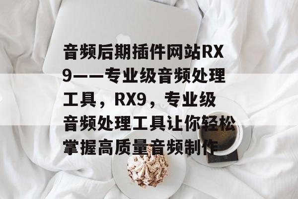 音频后期插件网站RX9——专业级音频处理工具，RX9，专业级音频处理工具让你轻松掌握高质量音频制作