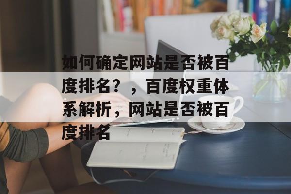如何确定网站是否被百度排名？，百度权重体系解析，网站是否被百度排名