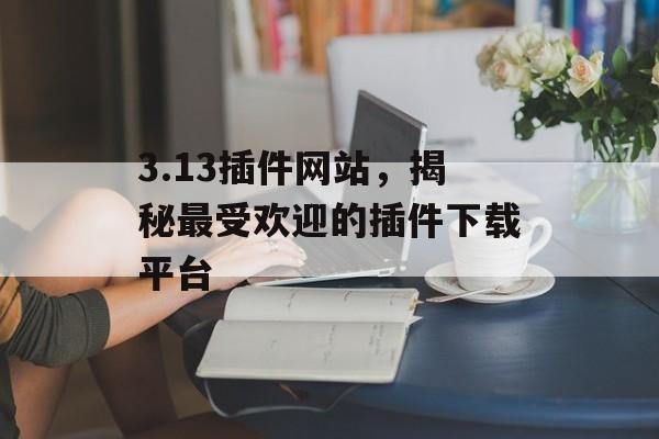 3.13插件网站,揭秘最受欢迎的插件下载平台 3.13插件网站,揭秘最受欢迎的插件下载平台