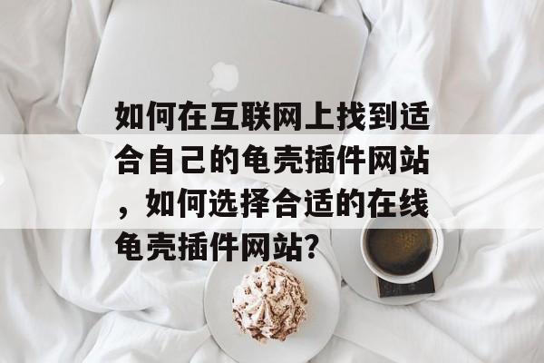 如何在互联网上找到适合自己的龟壳插件网站,如何选择合适的在线龟壳插件网站? 如何在互联网上找到适合自己的龟壳插件网站,如何选择合适的在线龟壳插件网站?