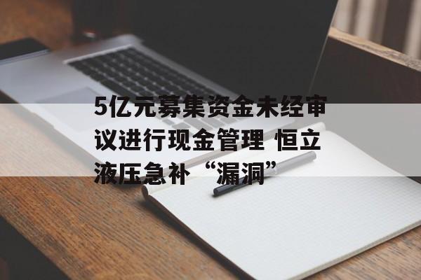 5亿元募集资金未经审议进行现金管理 恒立液压急补“漏洞”