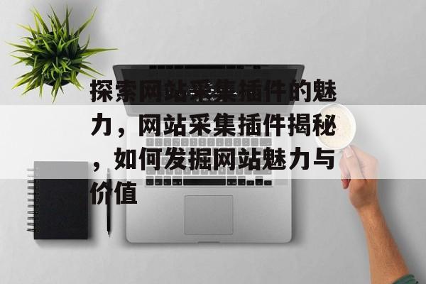 探索网站采集插件的魅力，网站采集插件揭秘，如何发掘网站魅力与价值