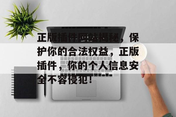 正版插件网站揭秘,保护你的合法权益,正版插件,你的个人信息安全不容侵犯! 正版插件网站揭秘,保护你的合法权益,正版插件,你的个人信息安全不容侵犯!