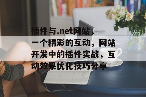 插件与.net网站,一个精彩的互动,网站开发中的插件实战,互动效果优化技巧分享 插件与.net网站,一个精彩的互动,网站开发中的插件实战,互动效果优化技巧分享