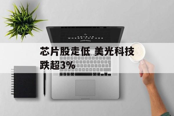 芯片股走低 美光科技跌超3% 芯片股走低 美光科技跌超3%