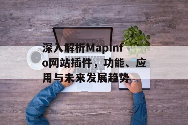 深入解析MapInfo网站插件,功能、应用与未来发展趋势 深入解析MapInfo网站插件,功能、应用与未来发展趋势