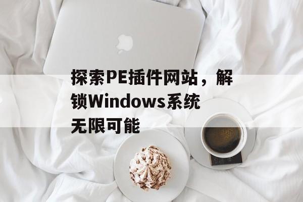 探索PE插件网站,解锁Windows系统无限可能 探索PE插件网站,解锁Windows系统无限可能
