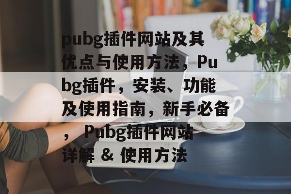 pubg插件网站及其优点与使用方法，Pubg插件，安装、功能及使用指南，新手必备， Pubg插件网站详解 & 使用方法