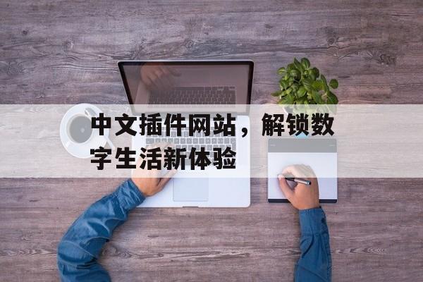 中文插件网站,解锁数字生活新体验 中文插件网站,解锁数字生活新体验