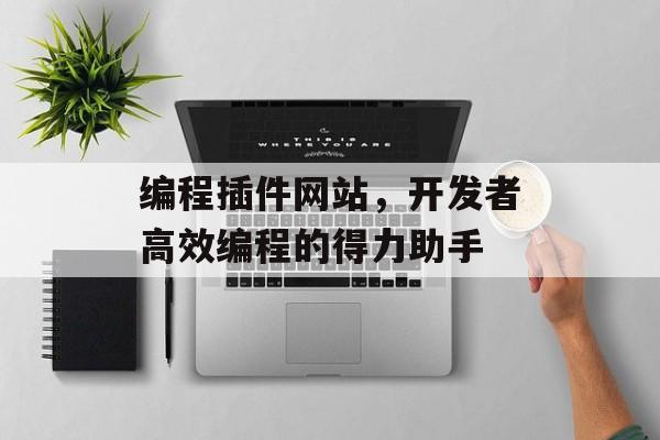 编程插件网站,开发者高效编程的得力助手 编程插件网站,开发者高效编程的得力助手