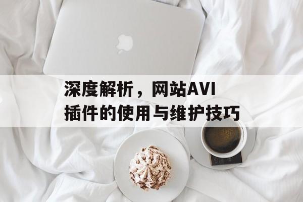 深度解析,网站AVI插件的使用与维护技巧 深度解析,网站AVI插件的使用与维护技巧